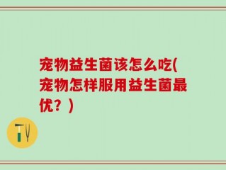 宠物益生菌该怎么吃(宠物怎样服用益生菌最优？)