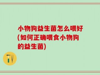 小物狗益生菌怎么喂好(如何正确喂食小物狗的益生菌)