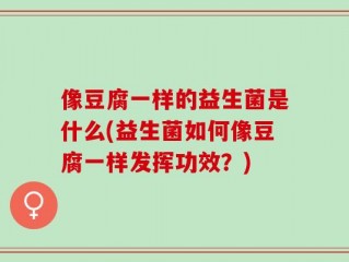 像豆腐一样的益生菌是什么(益生菌如何像豆腐一样发挥功效？)
