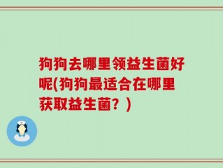 狗狗去哪里领益生菌好呢(狗狗最适合在哪里获取益生菌？)