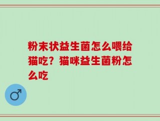 粉末状益生菌怎么喂给猫吃？猫咪益生菌粉怎么吃