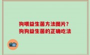 狗喂益生菌方法图片？狗狗益生菌的正确吃法