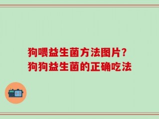 狗喂益生菌方法图片？狗狗益生菌的正确吃法