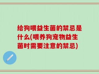 给狗喂益生菌的禁忌是什么(喂养狗宠物益生菌时需要注意的禁忌)