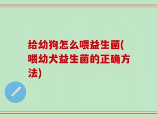 给幼狗怎么喂益生菌(喂幼犬益生菌的正确方法)