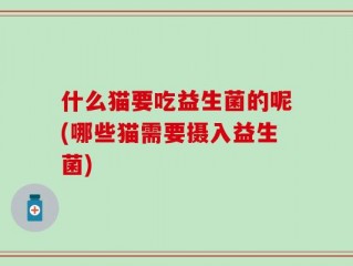什么猫要吃益生菌的呢(哪些猫需要摄入益生菌)