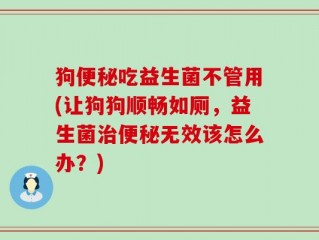 狗便秘吃益生菌不管用(让狗狗顺畅如厕，益生菌治便秘无效该怎么办？)