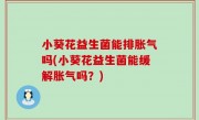 小葵花益生菌能排胀气吗(小葵花益生菌能缓解胀气吗？)