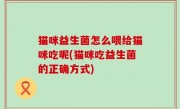 猫咪益生菌怎么喂给猫咪吃呢(猫咪吃益生菌的正确方式)