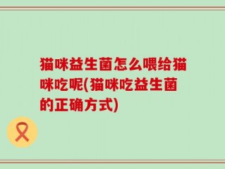 猫咪益生菌怎么喂给猫咪吃呢(猫咪吃益生菌的正确方式)