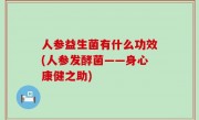人参益生菌有什么功效(人参发酵菌——身心康健之助)