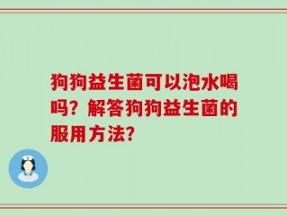 狗狗益生菌可以泡水喝吗？解答狗狗益生菌的服用方法？