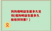 狗狗瘦喝益生菌多久见效(瘦狗喝益生菌多久能收到效果？)
