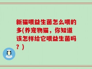 新猫喂益生菌怎么喂的多(养宠物猫，你知道该怎样给它喂益生菌吗？)
