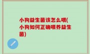 小狗益生菌该怎么喂(小狗如何正确喂养益生菌)