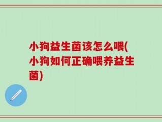 小狗益生菌该怎么喂(小狗如何正确喂养益生菌)