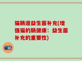 猫肠道益生菌补充(增强猫的肠健康：益生菌补充的重要性)