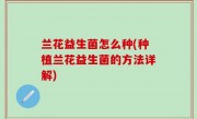 兰花益生菌怎么种(种植兰花益生菌的方法详解)