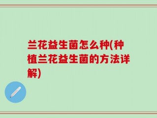 兰花益生菌怎么种(种植兰花益生菌的方法详解)