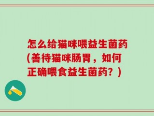 怎么给猫咪喂益生菌药(善待猫咪肠胃，如何正确喂食益生菌药？)