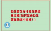 益生菌怎样才能在肠道里定植(如何促进益生菌在肠道中定植？)