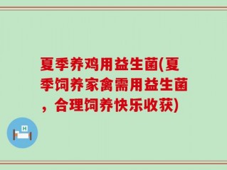夏季养鸡用益生菌(夏季饲养家禽需用益生菌，合理饲养快乐收获)