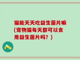 猫能天天吃益生菌片嘛(宠物猫每天都可以食用益生菌片吗？)