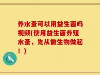 养水蚤可以用益生菌吗视频(使用益生菌养殖水蚤，先从微生物做起！)