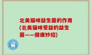 北美猫咪益生菌的作用(北美猫咪受益的益生菌——健康妙招)