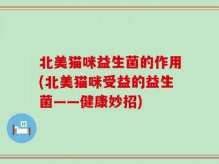 北美猫咪益生菌的作用(北美猫咪受益的益生菌——健康妙招)