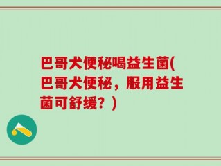巴哥犬便秘喝益生菌(巴哥犬便秘，服用益生菌可舒缓？)