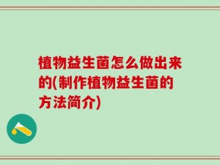 植物益生菌怎么做出来的(制作植物益生菌的方法简介)