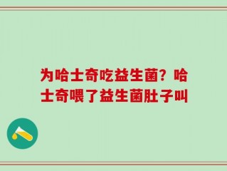 为哈士奇吃益生菌？哈士奇喂了益生菌肚子叫