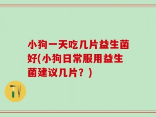 小狗一天吃几片益生菌好(小狗日常服用益生菌建议几片？)