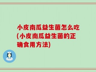 小皮南瓜益生菌怎么吃(小皮南瓜益生菌的正确食用方法)