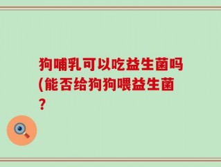 狗哺乳可以吃益生菌吗(能否给狗狗喂益生菌？