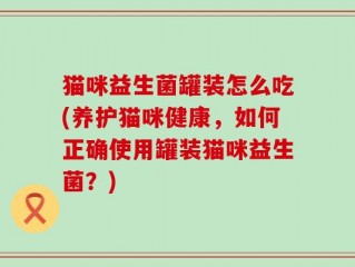 猫咪益生菌罐装怎么吃(养护猫咪健康，如何正确使用罐装猫咪益生菌？)