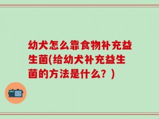 幼犬怎么靠食物补充益生菌(给幼犬补充益生菌的方法是什么？)