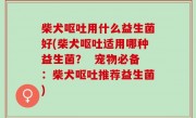 柴犬呕吐用什么益生菌好(柴犬呕吐适用哪种益生菌？  宠物必备：柴犬呕吐推荐益生菌)