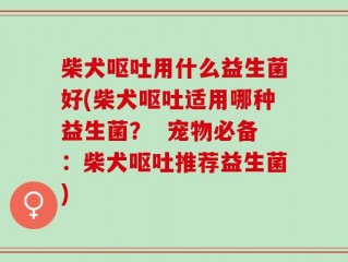 柴犬呕吐用什么益生菌好(柴犬呕吐适用哪种益生菌？  宠物必备：柴犬呕吐推荐益生菌)
