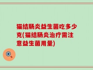 猫结肠炎益生菌吃多少克(猫结肠炎治疗需注意益生菌用量)
