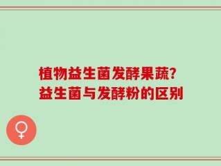 植物益生菌发酵果蔬？益生菌与发酵粉的区别