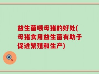 益生菌喂母猪的好处(母猪食用益生菌有助于促进繁殖和生产)