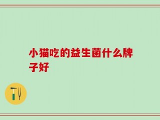 小猫吃的益生菌什么牌子好