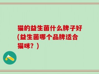 猫的益生菌什么牌子好(益生菌哪个品牌适合猫咪？)