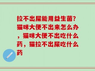 拉不出屎能用益生菌？猫咪大便不出来怎么办，猫咪大便不出吃什么药，猫拉不出屎吃什么药