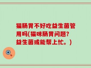 猫肠胃不好吃益生菌管用吗(猫咪肠胃问题？益生菌或能帮上忙。)