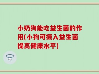 小奶狗能吃益生菌的作用(小狗可摄入益生菌提高健康水平)