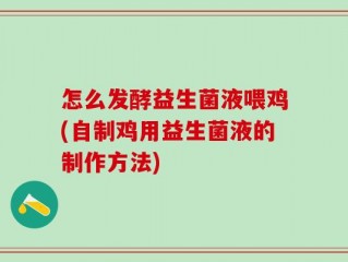 怎么发酵益生菌液喂鸡(自制鸡用益生菌液的制作方法)