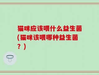 猫咪应该喂什么益生菌(猫咪该喂哪种益生菌？)